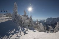 Kaiserwinkl - Winter: Winterlandschaft
