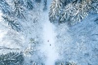 Kaiserwinkl - Winter: Langlauf