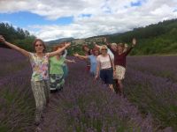 Die Provence im Duft des Lavendels
