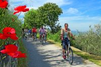 Die Landpartie - Toskana mit E-Bike