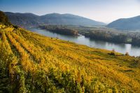 Thurgau Travel - Donaureisen - Goldener Herbst