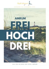 Online Mag Amrumfreihochdrei Ausgabe 13 Dezember 2020