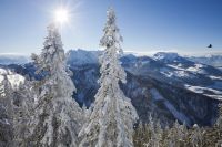Kaiserwinkl - Winter: Winterlandschaft
