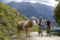 Kaiserwinkl - Sommer: Mountainbiken