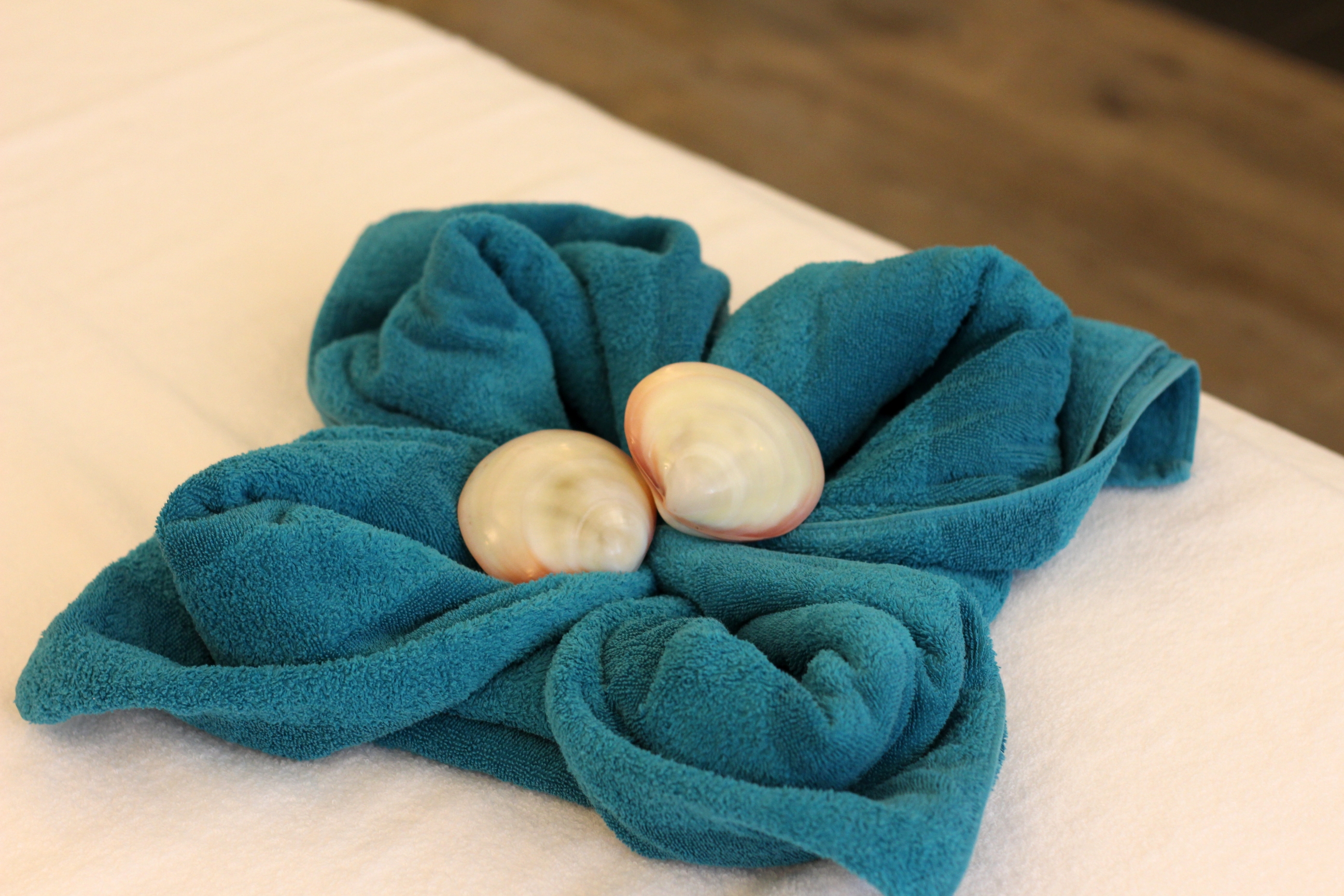 Nordsee Lodge Pellworm Venusmuschelschalen Massage