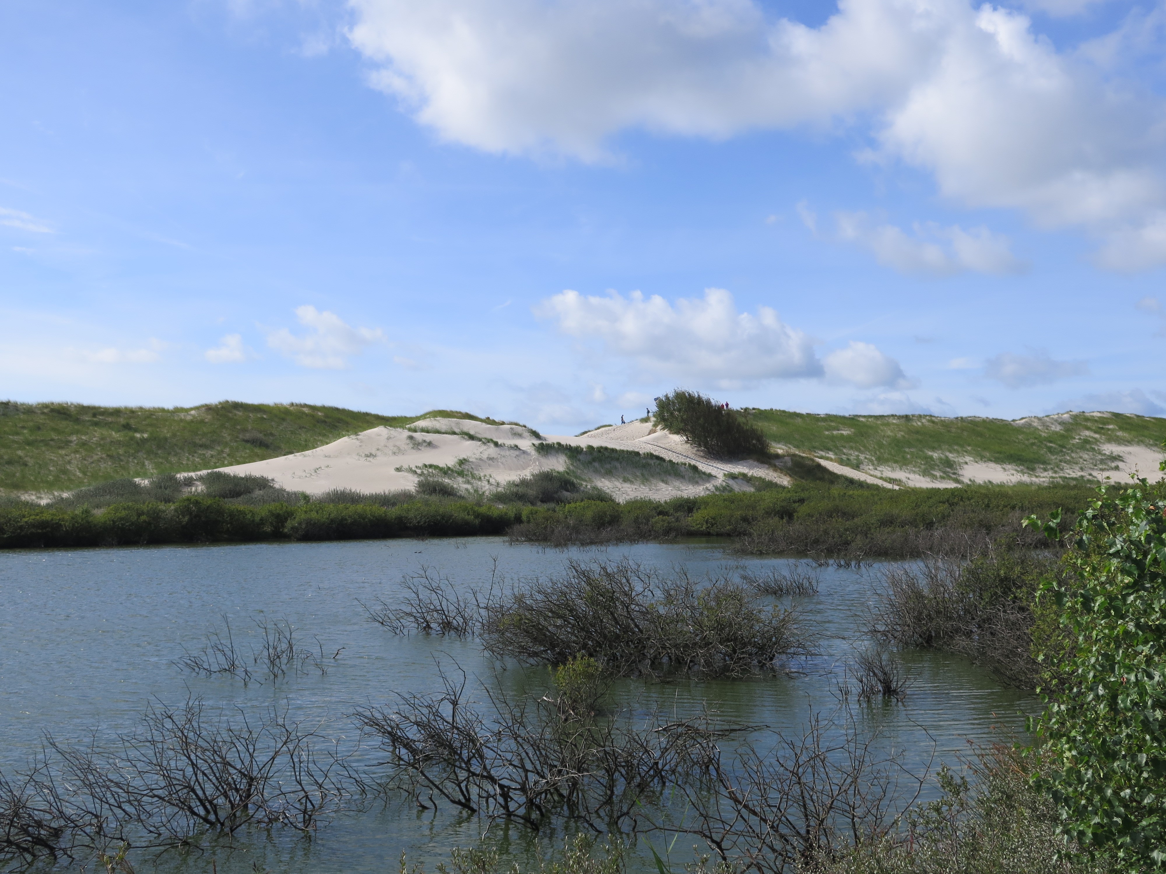 Amrum - Insel der Freiheit